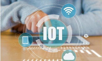 物聯網 無處不在的智能連接與人工智能集成的行業(yè)應用